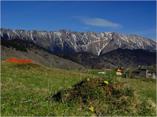 Gâlma Pleşii Pic Fundata - Şirnea