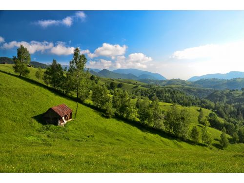 Rogoazei Pik Fundata - Şirnea