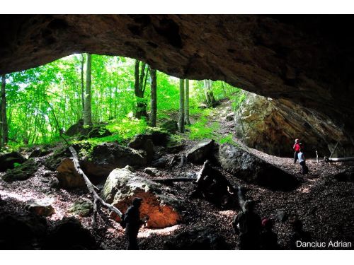 Comăna Cave Comana