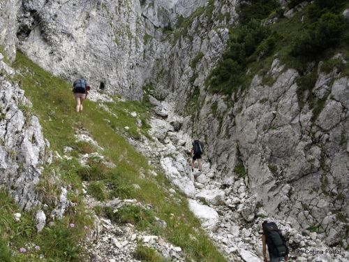 Tămăşelului Montagne Selle Zarnesti