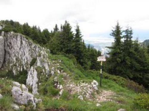 Padinii Închise Montagne Selle Zarnesti