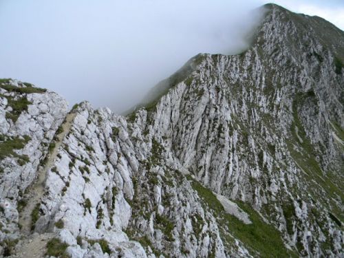 Lookout Point La Om Peak Zarnesti