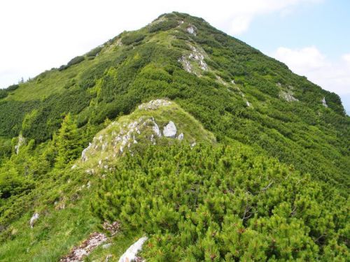 Aussichtspunkt Padina Popii Gipfel Moieciu - Pestera