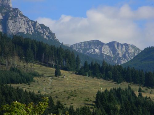 Poiana Zănoaga Bran - Poarta