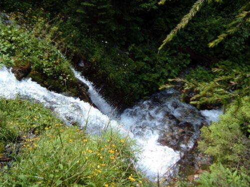 Cascada Urlătoarea Clincei Bran - Poarta