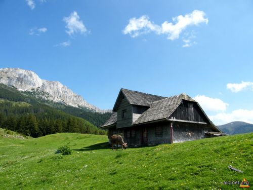 Guţanu Rét Moieciu de Sus (Felsőmoécs)