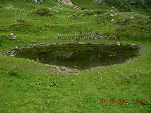 Lacul Țigăneşti Râşnov