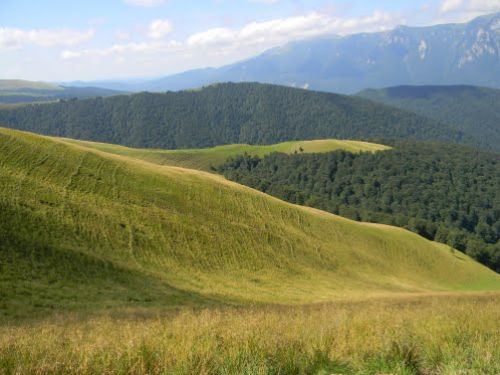 Urechea Peak Azuga