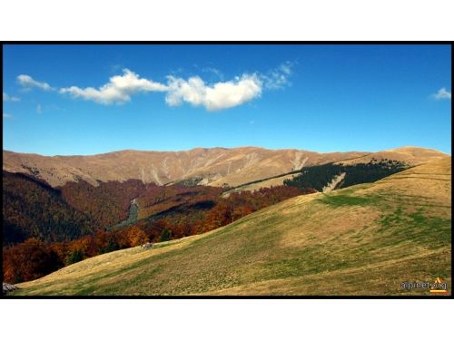 Point De Vue Baiu Mare Pic Sinaia