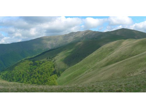 Point De Vue Drăgan Pic Sinaia