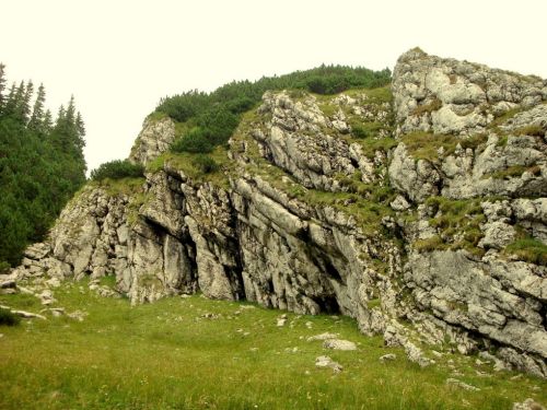 Rezervaţia Naturală Peştera Cocora - Cheile Urşilor Moroieni