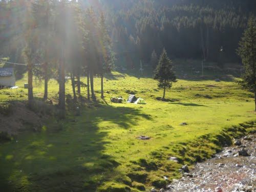 Rezervaţia Naturală Poiana Crucii Moroieni