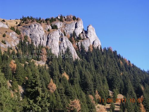 Colţii Lui Barbeş Berge Naturschutzgebiet Sinaia