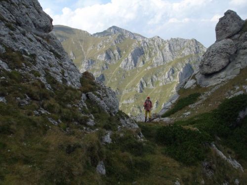 Valea Tapului Buşteni