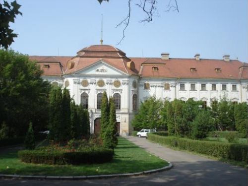 Cris Museum Oradea