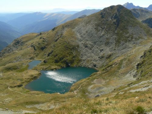 Lac Capra Cartisoara