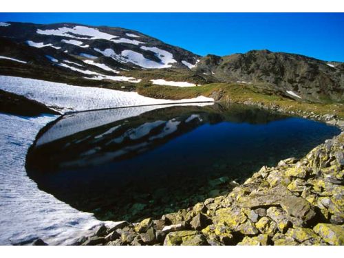 Die Zugefronenen See Von Parang Berge Petrosani