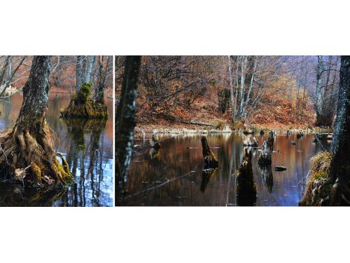 Lacul Cu Arini Câmpu Cetăţii