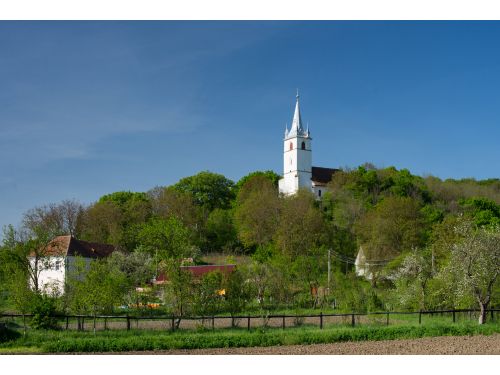 Protestant Church, 14Th Century Bereni