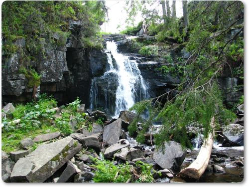 Tinovul Seche Şi Cascada Szökő Vlăhita