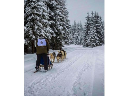 Dogsledding, Kalibáskő Vlahita