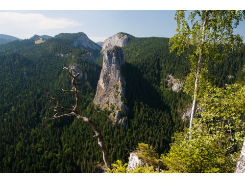 Békás-Szoros – Nagyhagymás Nemzeti Park Lacu Roşu (Gyilkostó)