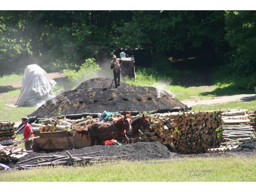 Arderea Cărbunilor De Lemn Valea Zălanului