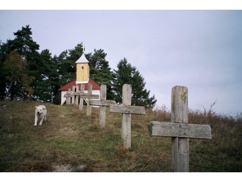 Chapelle De La Colline De Tyukász Sovata