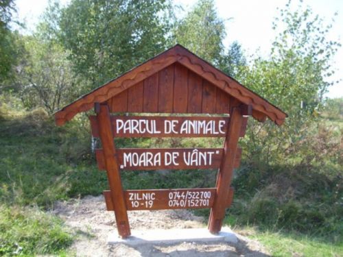 Parcul De Agrement 