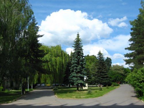 Parcul Central Miercurea Ciuc