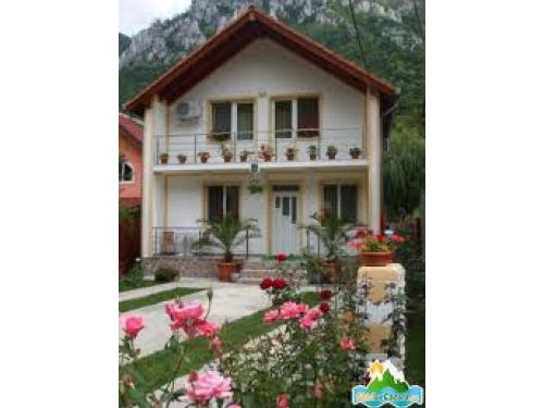 Pension Andreea Baile Herculane (Herkulesbad)