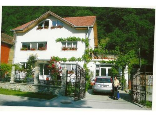 Pension Anghelina Baile Herculane (Herkulesbad)